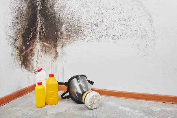 Reliable Dunnstown, PA Mold Remediation Solutions