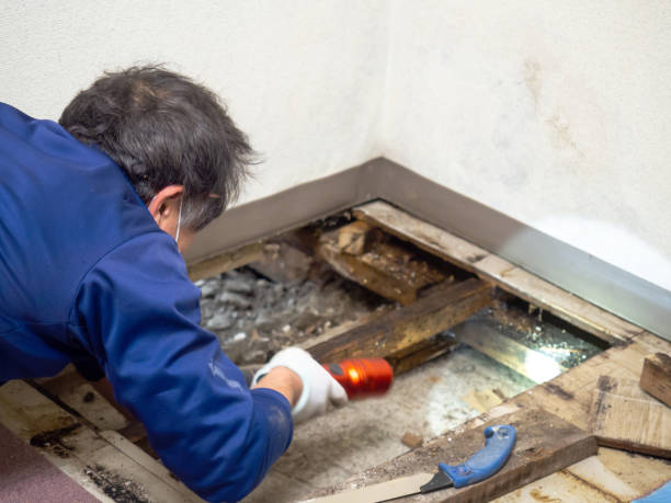 Best Kitchen Mold Remediation in Dunnstown, PA